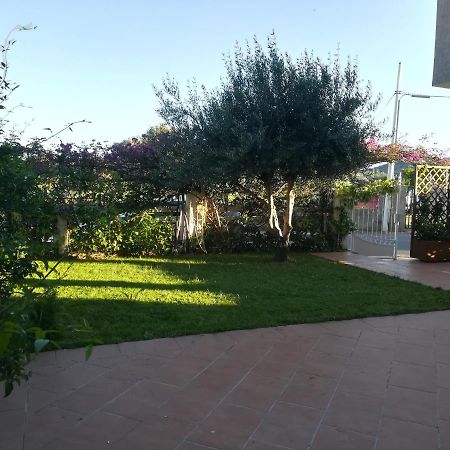 Tirso B&B 토르톨리 외부 사진